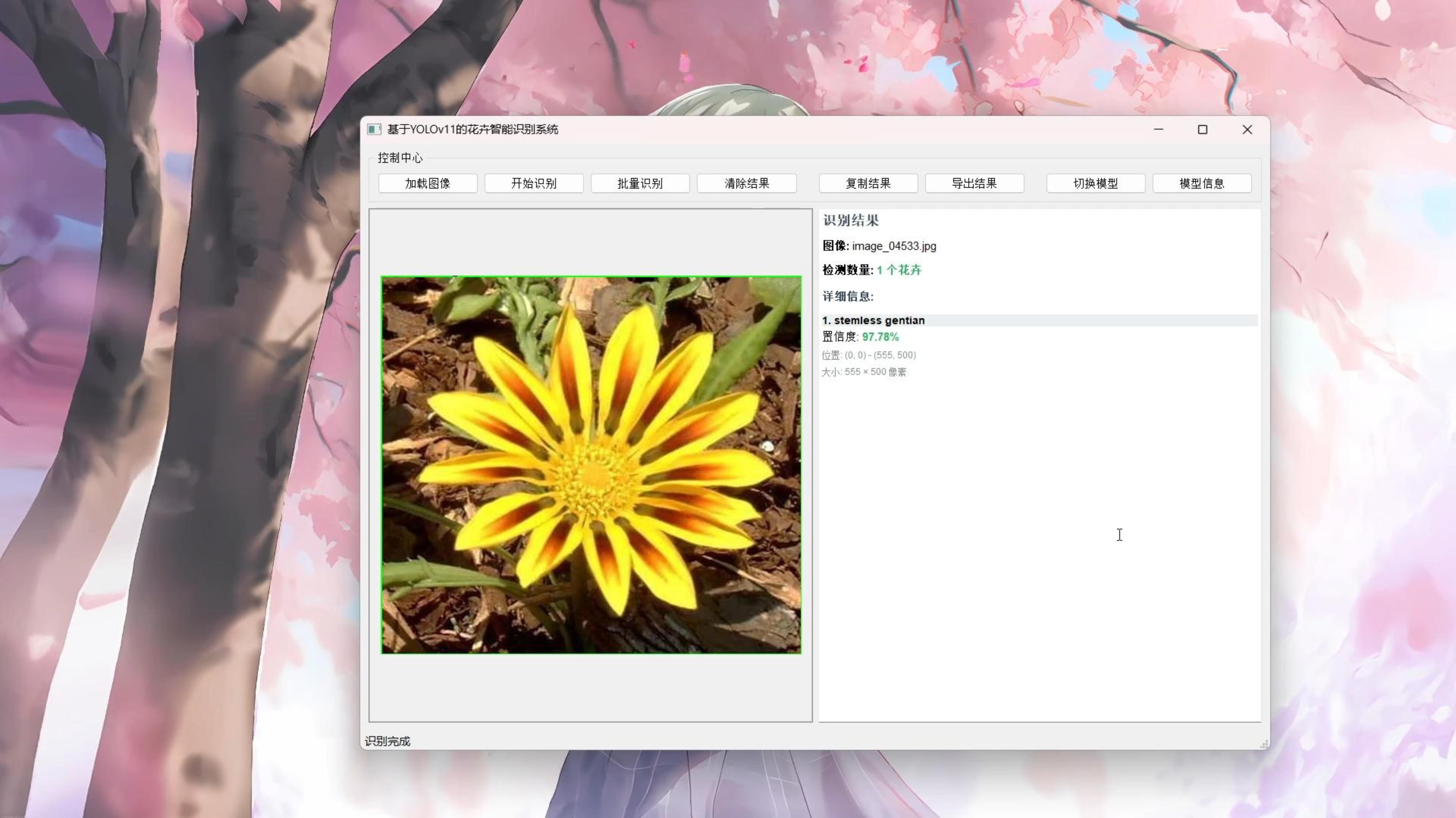基于 YOLOv11 的花卉智能识别系统